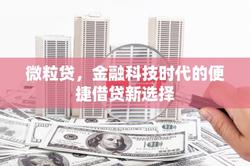 新疆微粒贷，金融科技时代的便捷借贷新选择