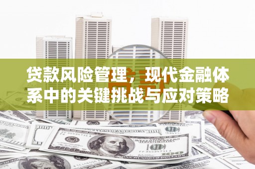 新疆贷款风险管理，现代金融体系中的关键挑战与应对策略