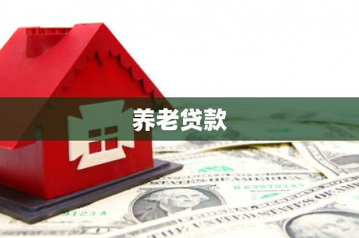 新疆养老贷款