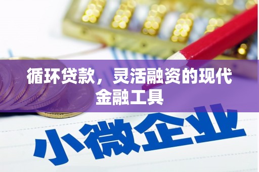 新疆循环贷款，灵活融资的现代金融工具