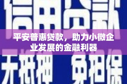 新疆平安普惠贷款，助力小微企业发展的金融利器