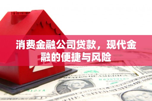 新疆消费金融公司贷款，现代金融的便捷与风险