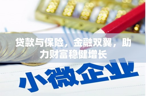 新疆贷款与保险，金融双翼，助力财富稳健增长